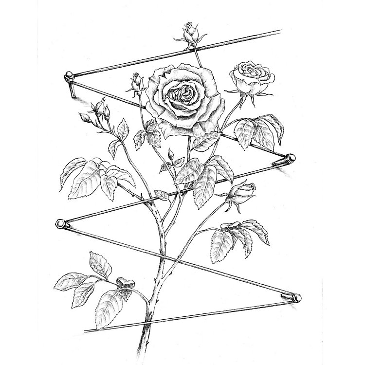 750x750 Stainless Steel Trellis System Manufactum