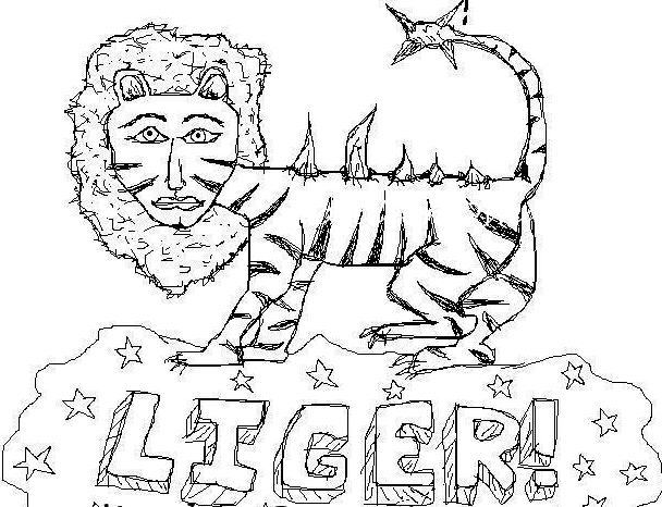 608x466 Collection Of Napoleon Dynamite Drawing Liger High Quality