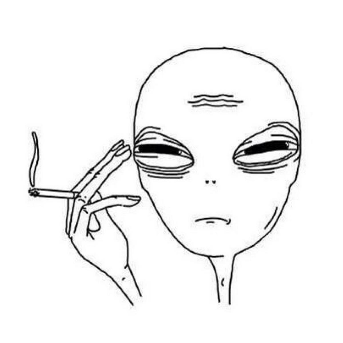 1200x1200 Tumblr Are Pretty Much Entirely Side With 4chan