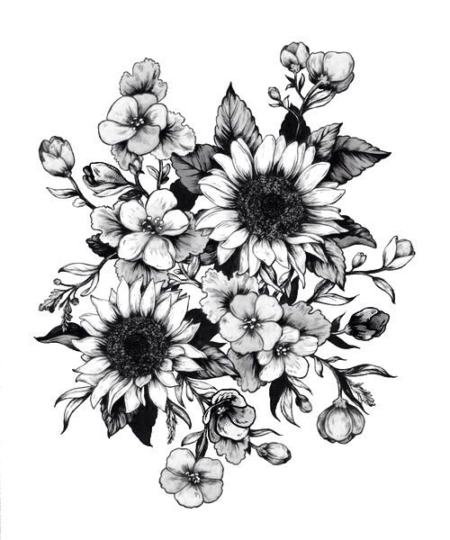 500x600 Flower Drawing Tumblr Photos Black And White Flowers Drawings