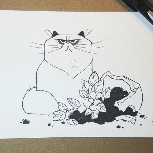 500x500 Daily Cat Drawings
