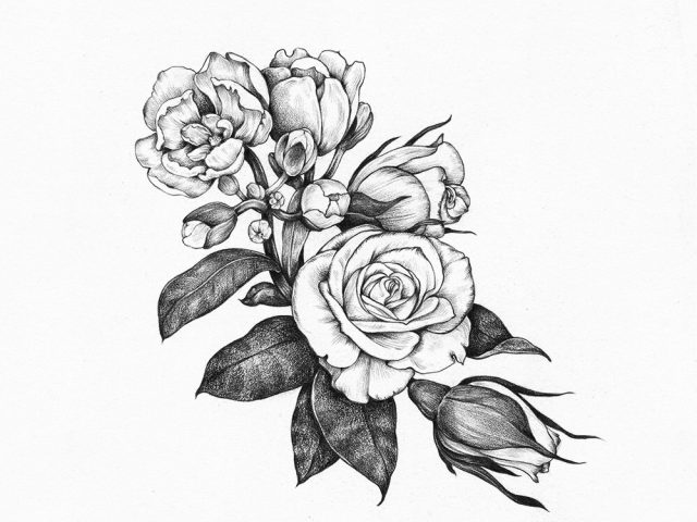 640x480 Black And White Sketches Of Flowers Tumblr Tumblr Drawing