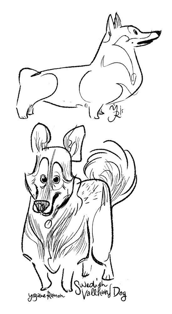549x1000 Yrgane Ramon Twitter I Have Put Some Sketches Of Dogs
