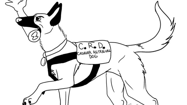 640x360 Dog Breeds Art Tumblr