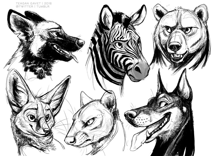 879x648 Tumblr O25l30iet51u370qmo1 128