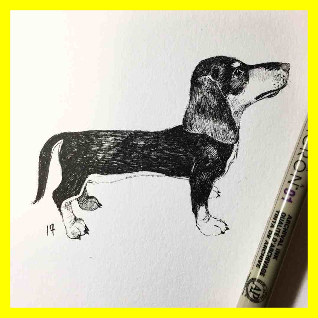 1081x1081 Fascinating Cute Wallpaper Tumblr Sf For Dog Drawing Style