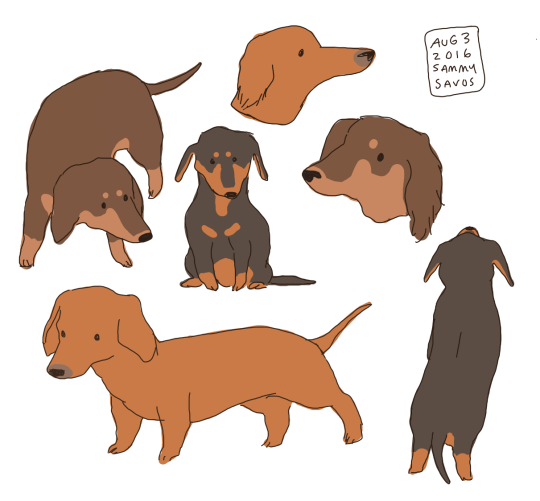 540x501 By Hamotzi On Tumblr Canines Drawings, Animal