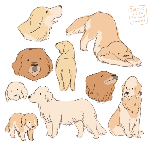 540x516 By Hamotzi On Tumblr Canines Drawings, Animal And Dog