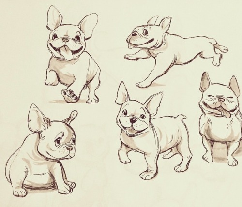 500x428 French Bulldog Drawing Tumblr