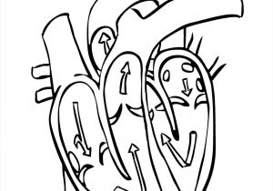 300x210 The Images Collection Of How Drawing Ideas Easy Cute To Draw