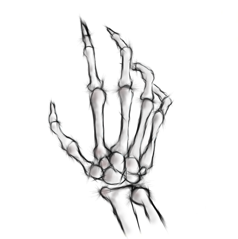 782x784 Drawn Bones Hand Tumblr