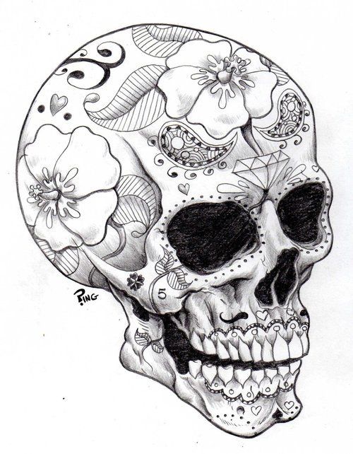 500x642 Skull Via Tumblr Skulls Amp Cross Bones