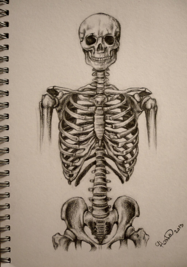 720x1024 Skeleton Drawing Tumblr Images About Day Of The Dead