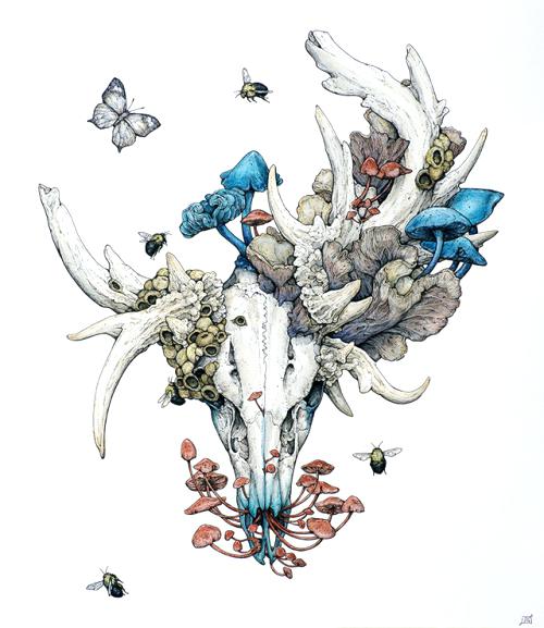 500x577 Skull Drawing Tumblr