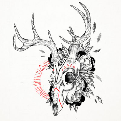 400x400 Deer Skull Drawing Tumblr. 17 Best Images About Tattodo