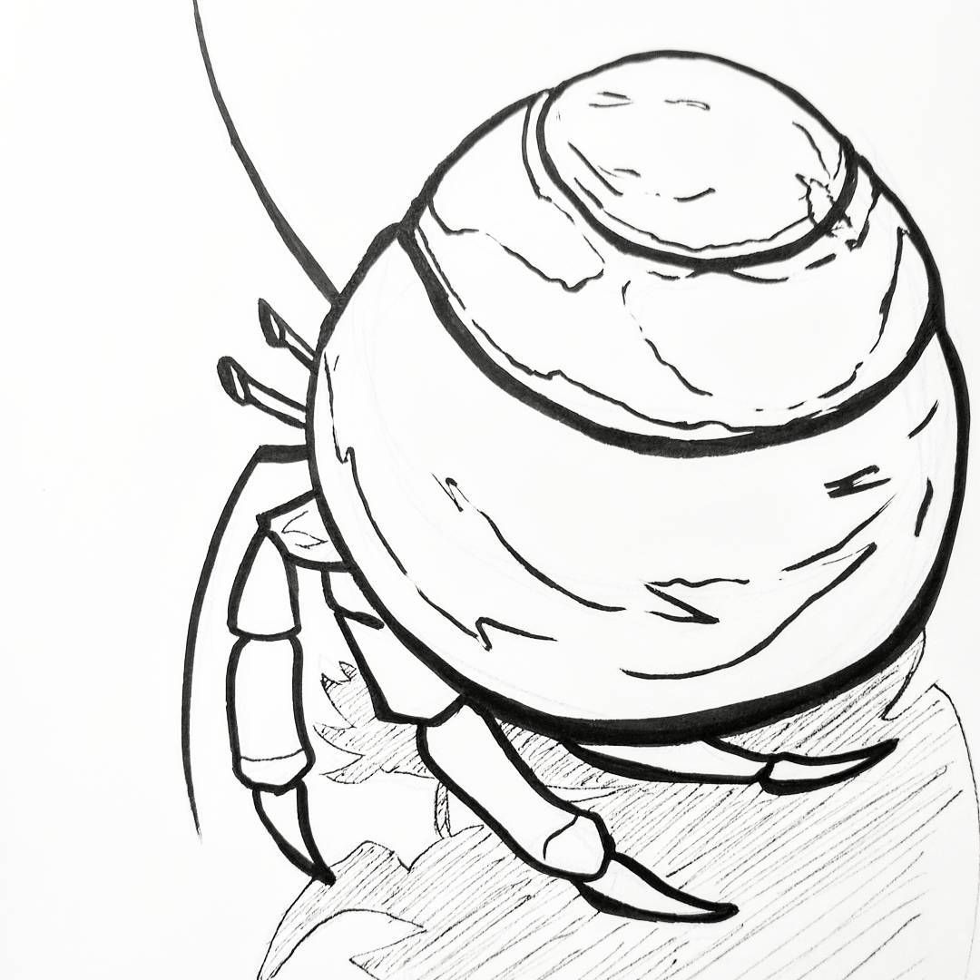 1080x1080 Crabbing Season