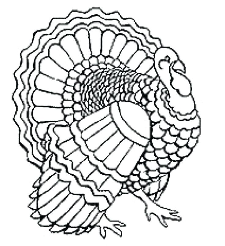 736x805 Turkey Coloring Pages For Kids Line Drawings Of Wild Turkeys Best