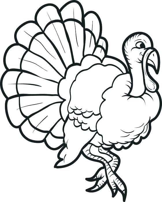 561x700 Turkey Coloring Pages Free With Turkey Coloring Pages Free Free