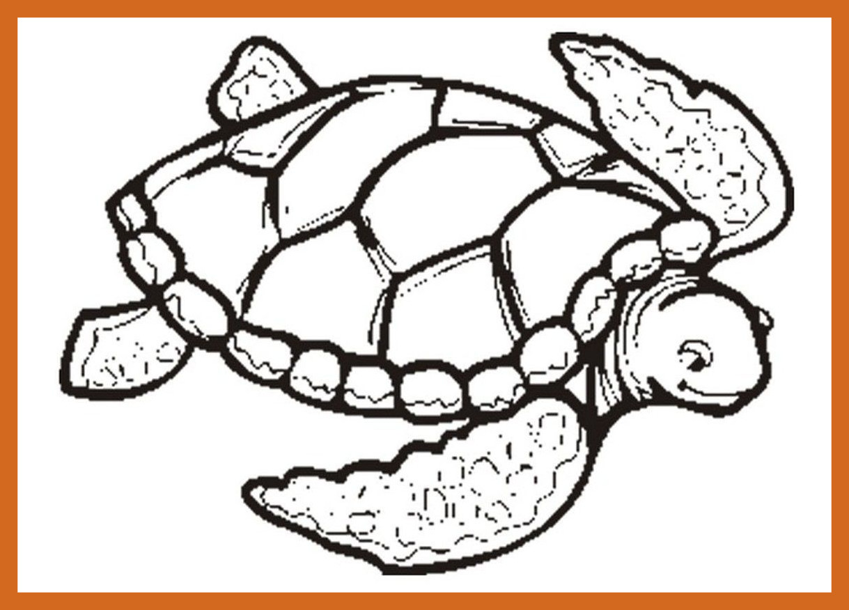 Turtle Shell Pattern Drawing at GetDrawings | Free download