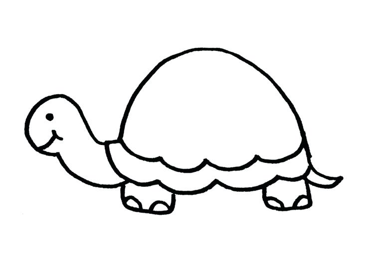 736x552 Sea Turtle Marine Turtle Swimming Black And White Outline Cute Sea