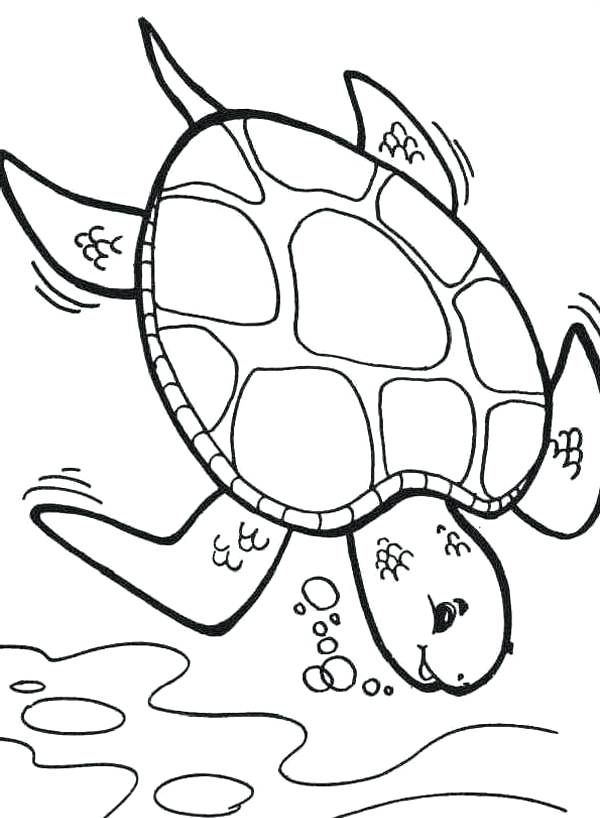 600x818 Sea Turtles Coloring Pages Turtle Coloring Pages Pin Drawn Sea