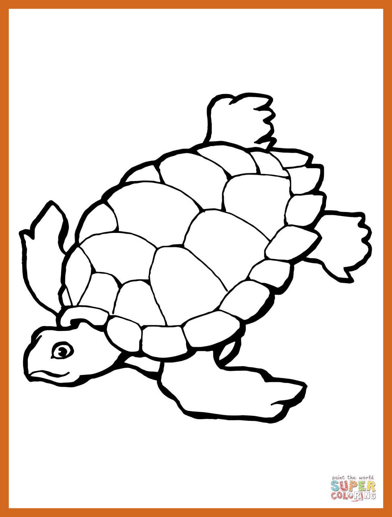 1256x1656 Turtle Drawing Colored