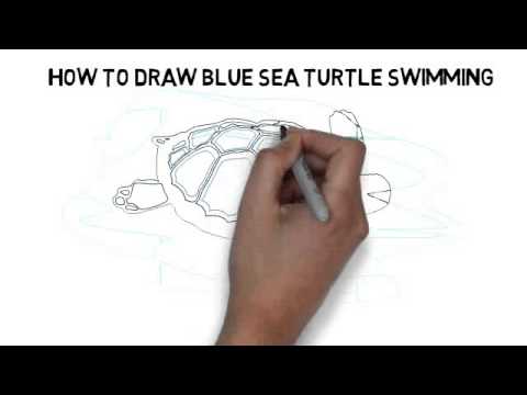 480x360 How To Draw Blue Sea Turtle Swimming Quickly And Easily