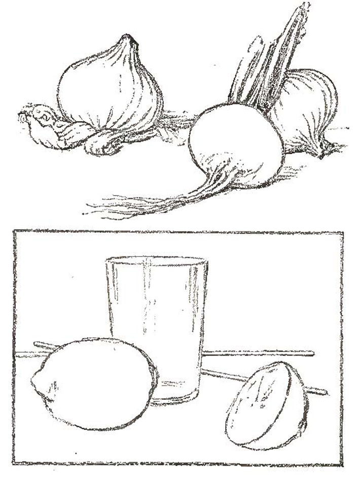 700x940 Shapes For Drawing How To Draw Different Types Of Shapes Adn Forms