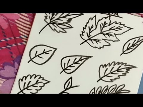 480x360 How To Draw Different Types Of Leaves In Very Easy Steps