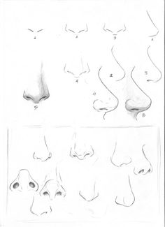 236x325 Drawing Different Types Of Nose Nose Mouth Drawing