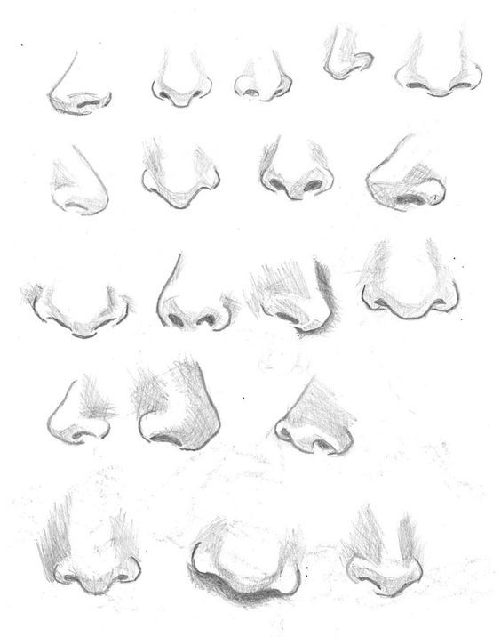 564x716 Female Nose Studies By On @