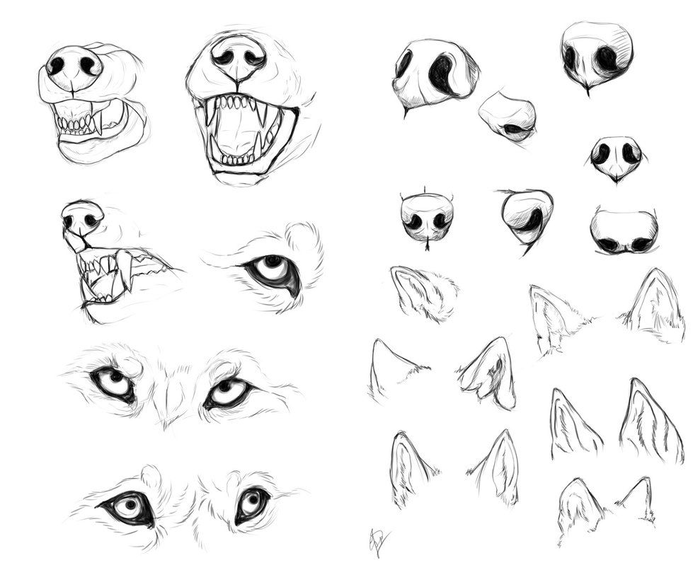 979x816 Just Some Practice Sketches I Did Last Night Whilst Watching