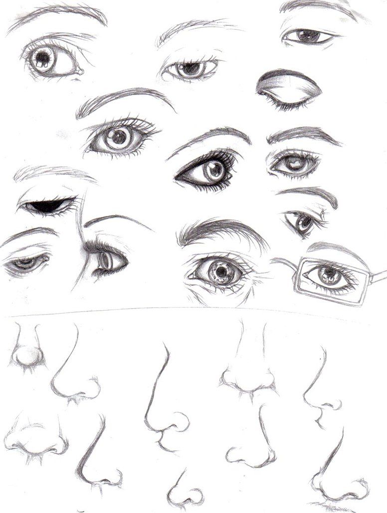 776x1029 Study Of Different Mouthlip Shapes. Note See Here For Larger