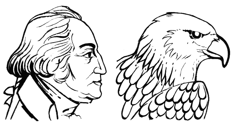 777x438 Aquiline Nose