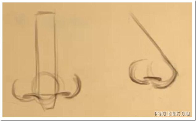 636x394 How To Draw Different Nose Shapes Easily