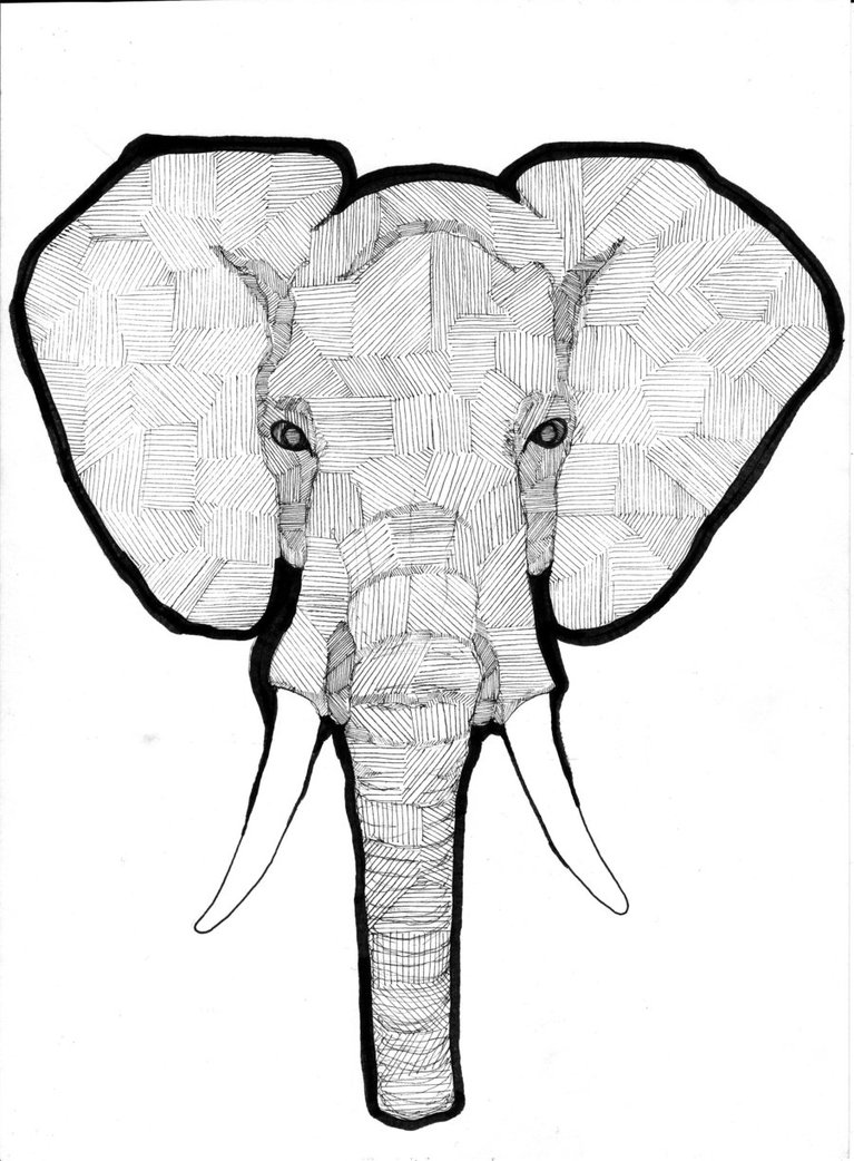 767x1042 Elephant Clipart Tumblr