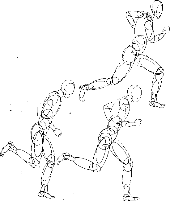 550x652 Good Understanding Of Anatomyis Essential