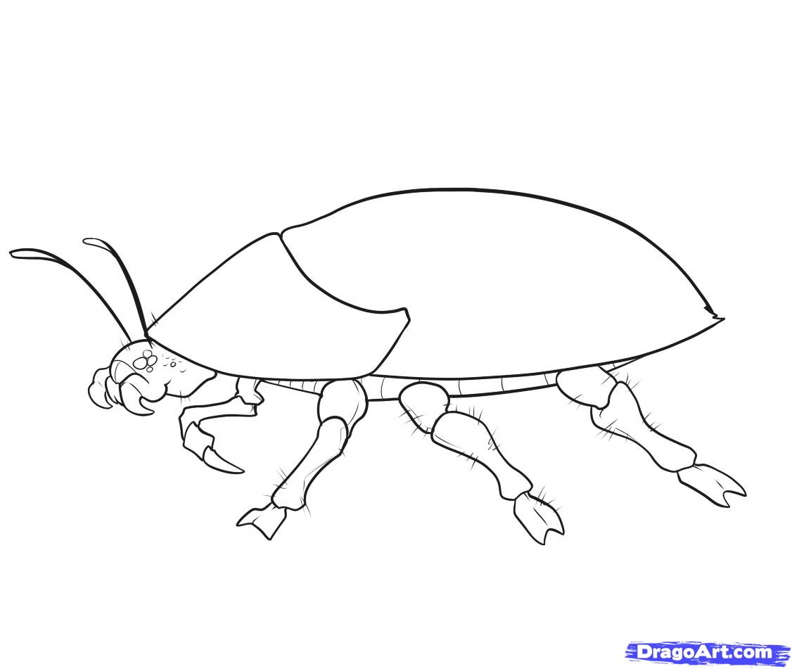 1126x951 How To Draw Insects Understanding And Drawing The Legs, Drawings