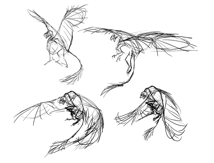 700x532 How To Draw A Griffin