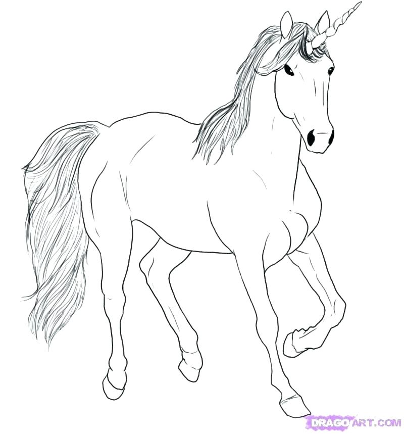 800x859 Unicorn Drawing Easy Unicorn Head Drawing Easy