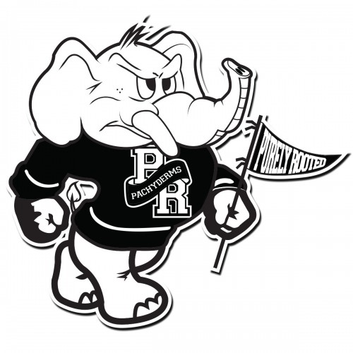 500x500 Pur3ly Root3d About