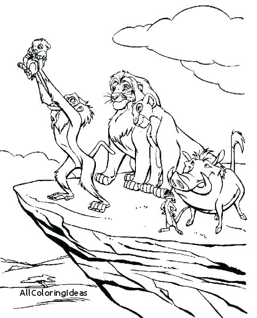 520x644 Lion Drawing For Coloring Week 3 Upside Down Lots Of Animal