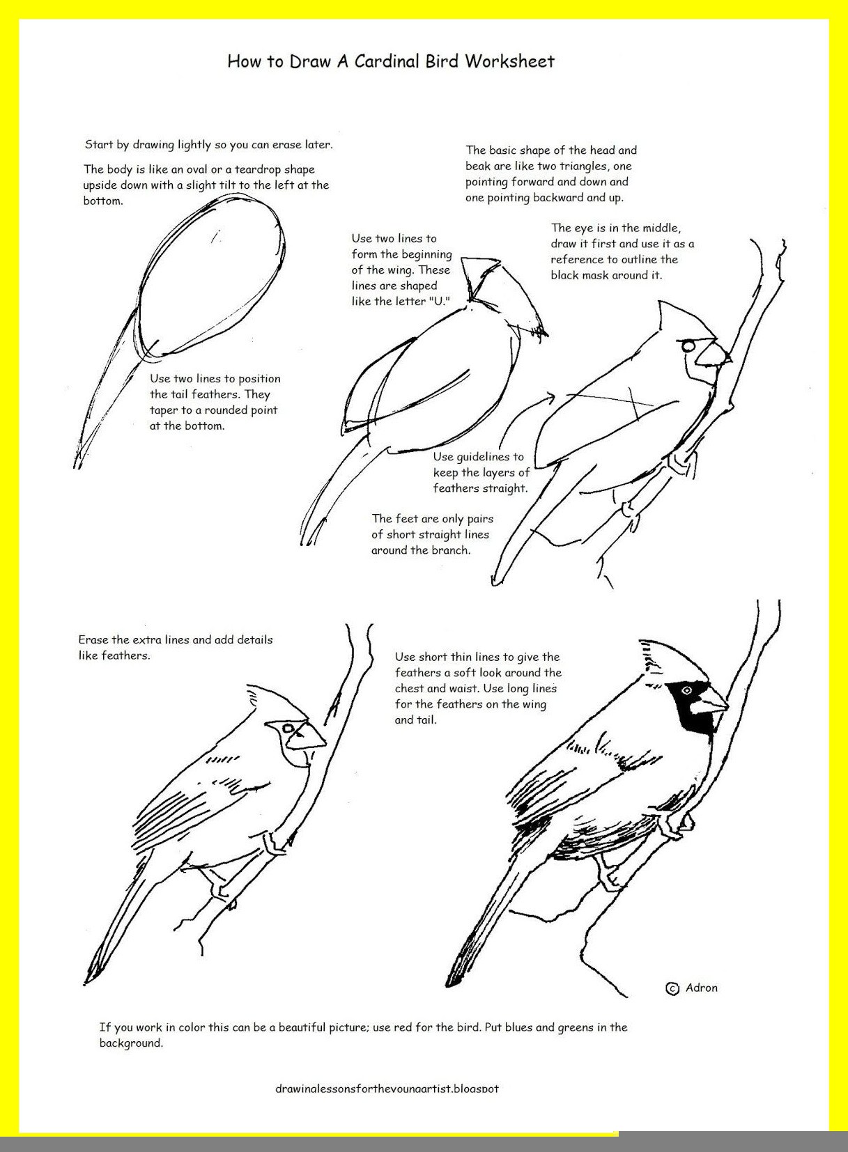 1217x1654 Inspiring A How To Draw Worksheet For Drawing Cardinal Of Bird