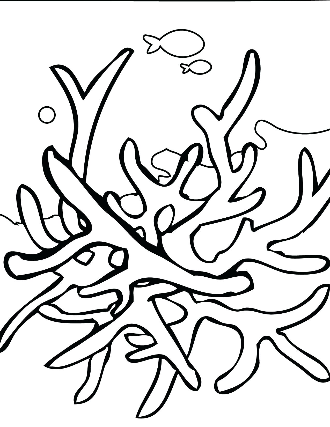 1275x1650 Modest Coloring Pages Of Coral Reefs Drawing