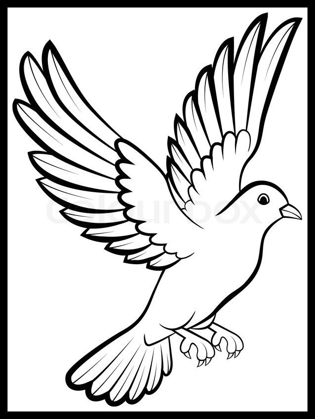 638x850 Fascinating Birds Drawing At Getdrawings For Personal Use Image