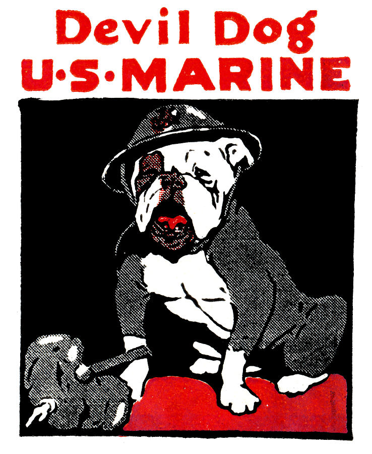 738x900 Wwi Marine Corps Devil Dog Painting By Historic Image