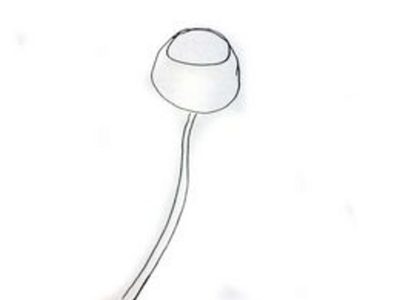 400x300 How To Draw A Rose Easily (With Pictures) Ehow