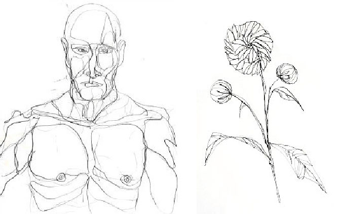 669x422 Drawing Foundations Contour Line Drawing