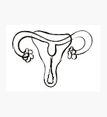 210x230 Uterus Drawing Photographic Prints Redbubble