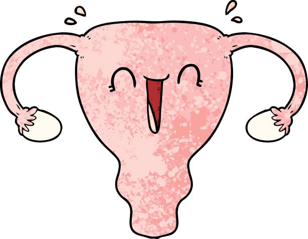 Uterus Drawing at GetDrawings | Free download